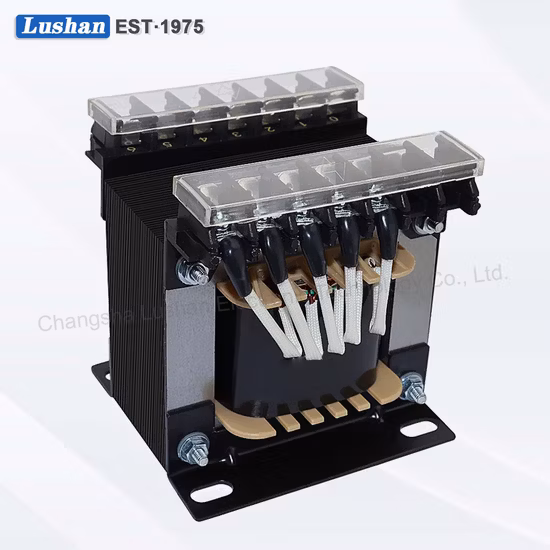 Input 220V Output 48V 1A Low Frequency Linear Power Transformer for Home Application