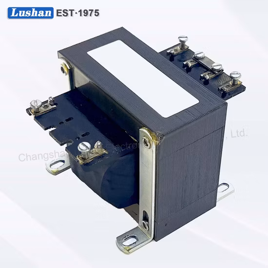 Input 220V Output 48V 1A Low Frequency Linear Power Transformer for Home Application