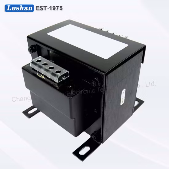 Transformateur de puissance linéaire basse fréquence, entrée 220V, sortie 48V 1A, pour Application domestique